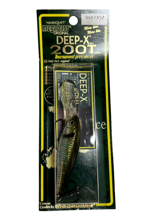 Megabass 2000 Deep-X 200T GG Oikawa (Female)